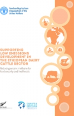 Supporting low emissions development in the Ethiopian dairy cattle sector:  reducing enteric methane for food security and livelihoods 